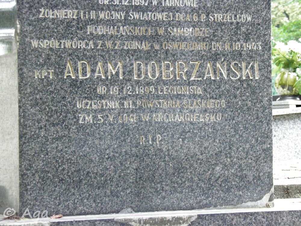 Obrazek