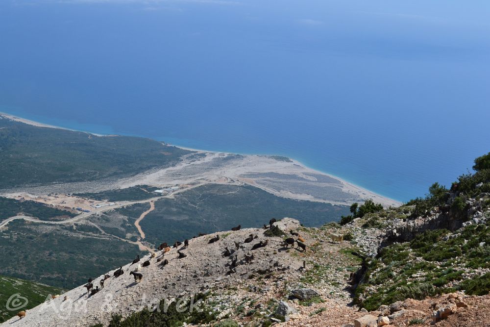 piaszczysta plaża